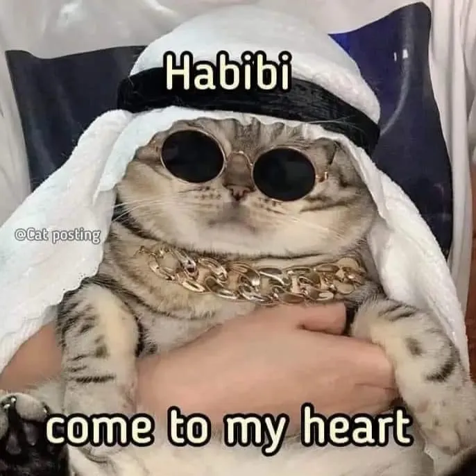 M E M E