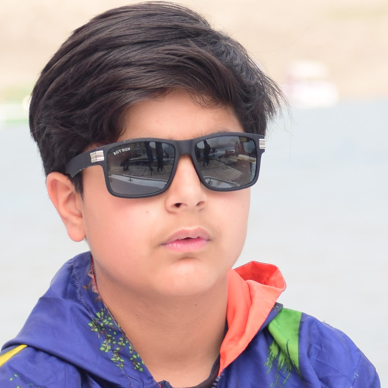 M Ali Zia Vlogs