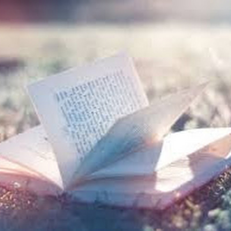 Livro Aberto