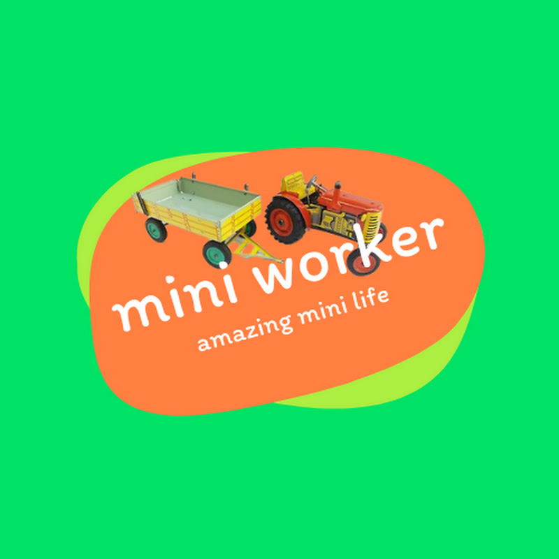 Mr Mini Worker