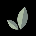 Eco Furniture Design South Africa