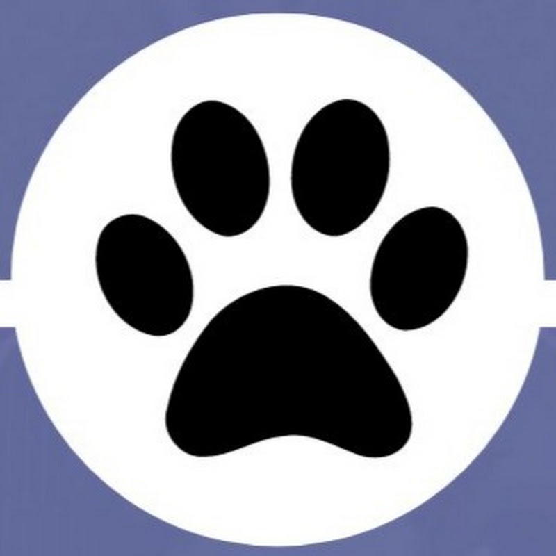 ALFADOG