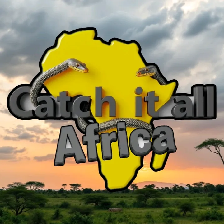 Catch it all africa