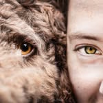 Service dog Bailey | UGC creator