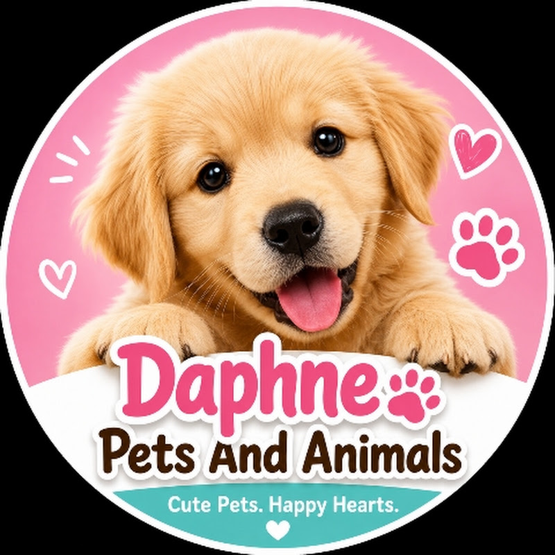 DaphnePetsAndAnimals