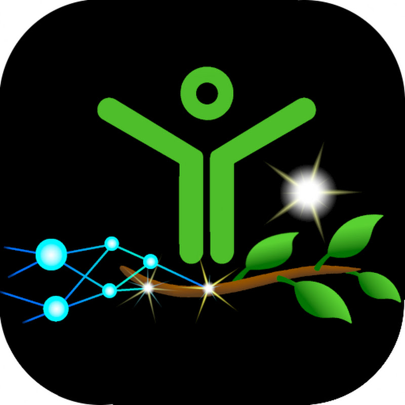 Sustainability Success