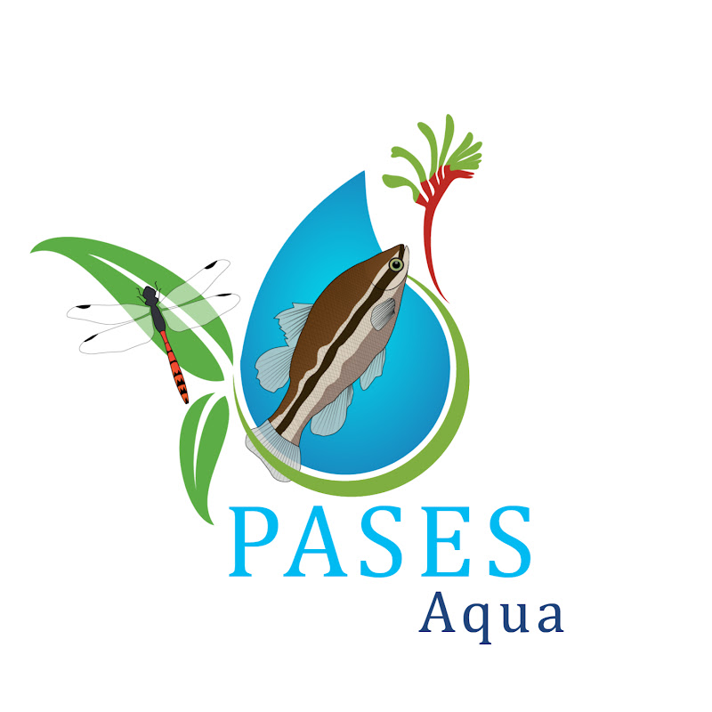 PASES Aqua