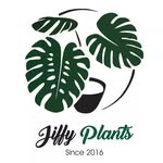 JIFFY PLANTS • Doorstep-Delivery
