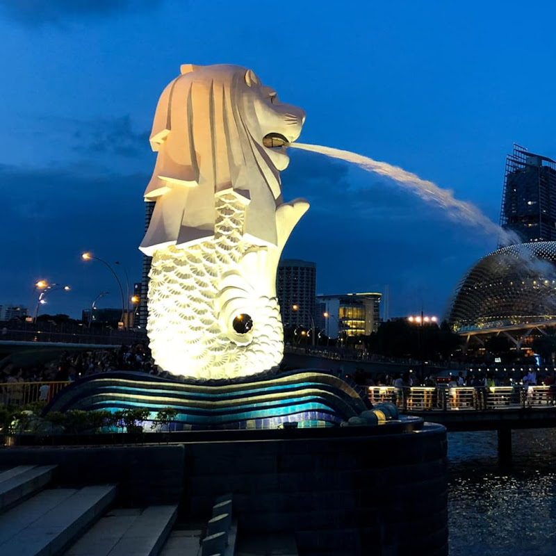 FOOD & WALK TV🍔👣