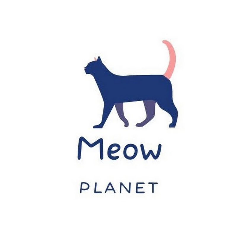 李哈哈是只可爱猫