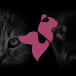 Elevate your pet's style with our premium dog & cat accessories!