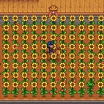 Queen Farmer