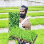 முத்தமிழ்