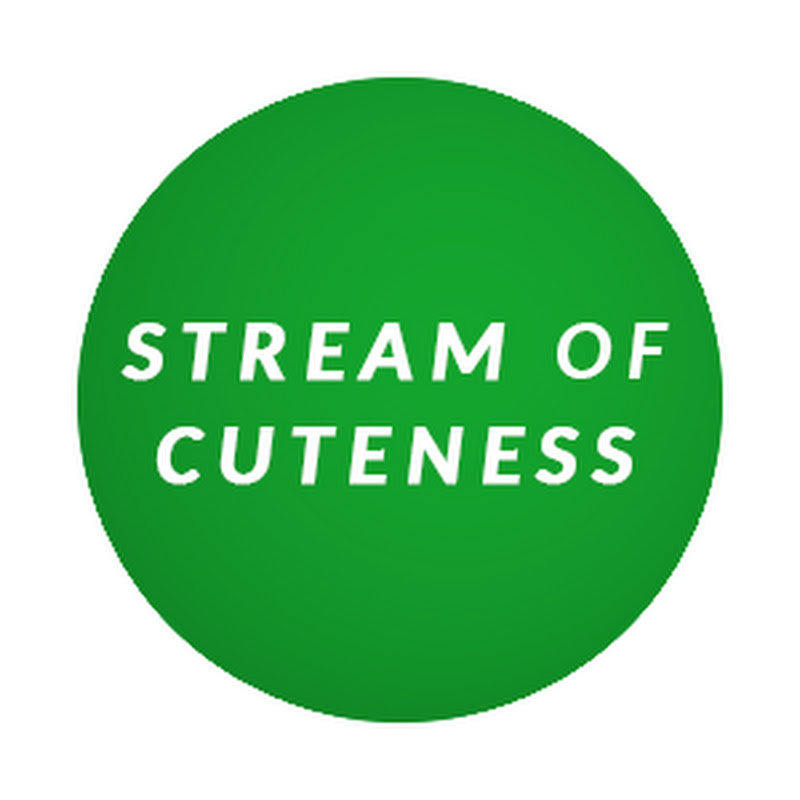 Stream of cuteness