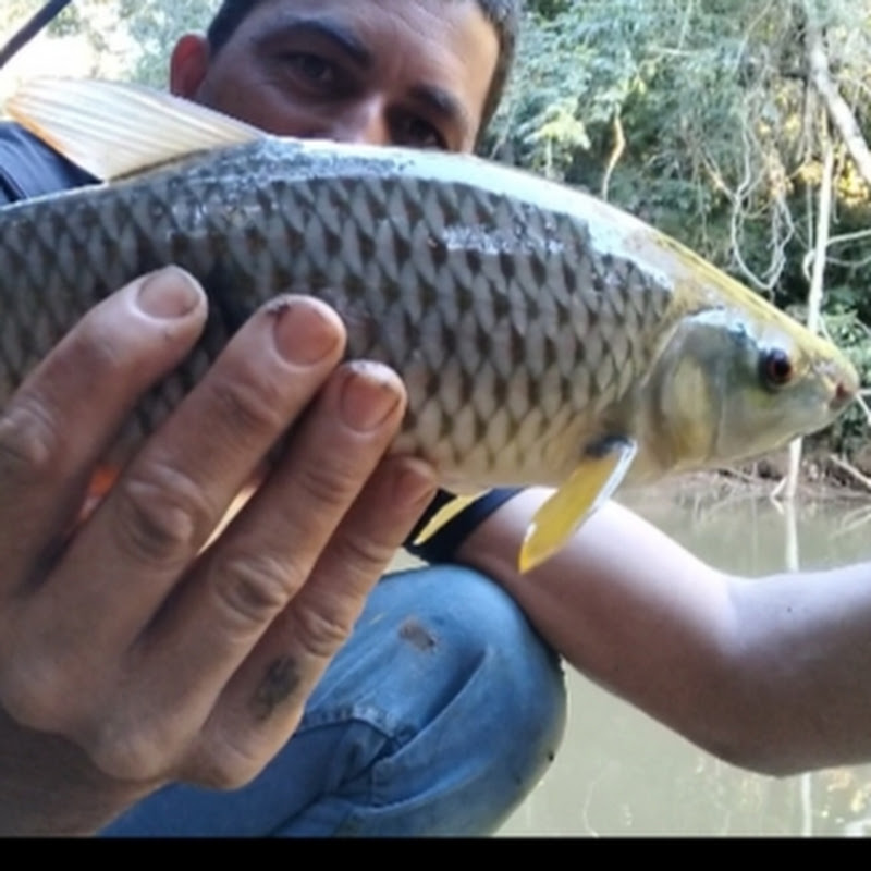 BRUTÃO DA PESCA.S.S