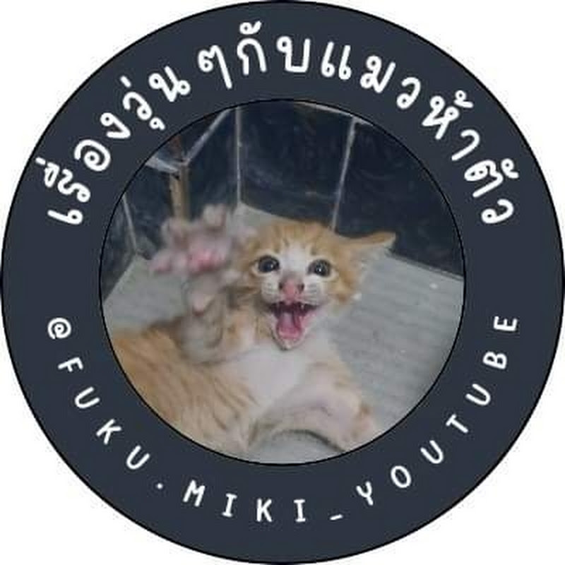  Five kittens with PaPa. (เรื่องวุ่นๆกับแมวห้าตัว)