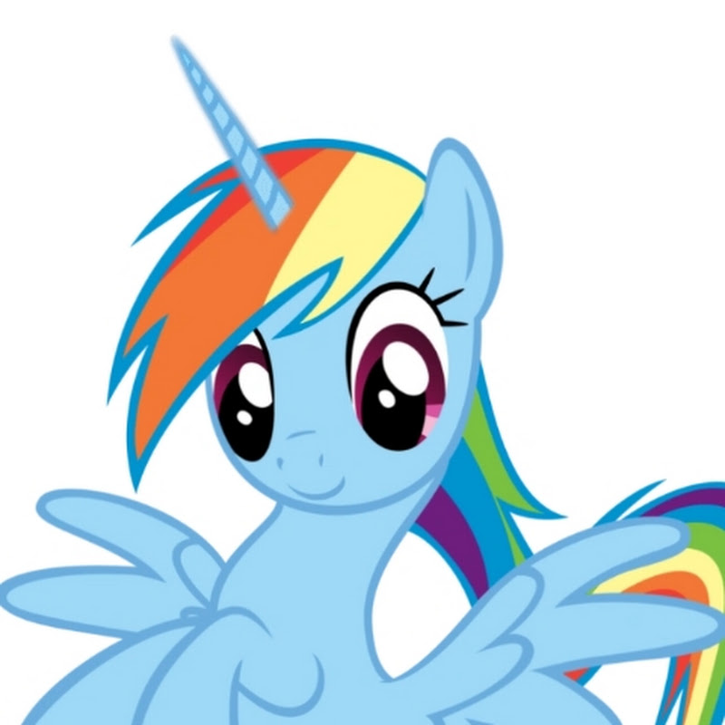 Dashie Covers