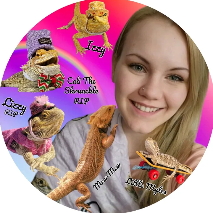 Lizzy The Special Dragon