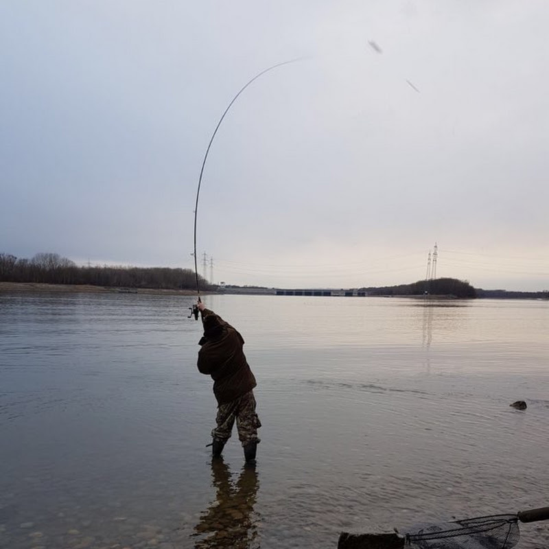 Silent Fishing