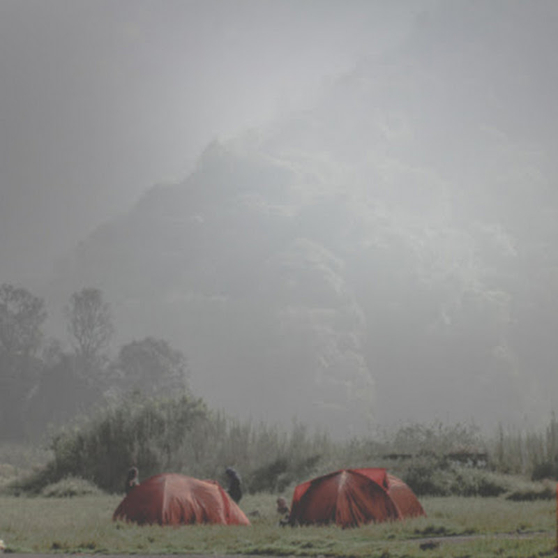 sonofmountmalang