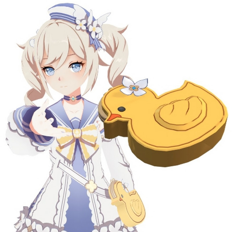 Barbara's Duck Bag