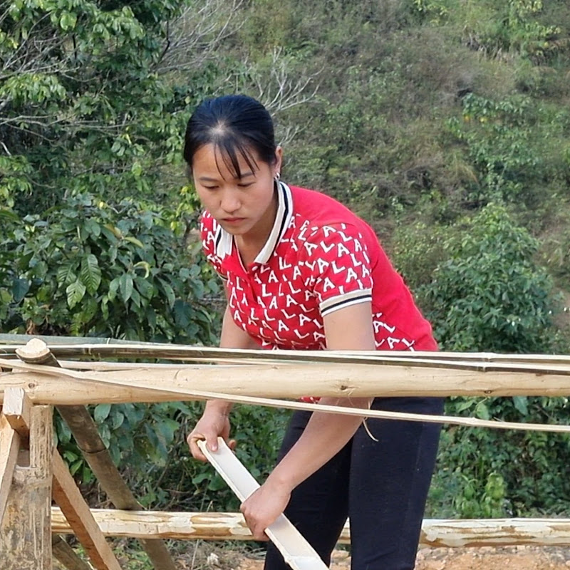 Lý Thị Viện