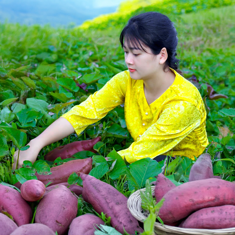 LÝ TRIỆU CA