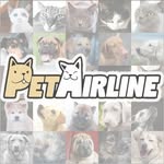 펫에어라인(PetAirline)
