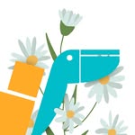 🌍 Международная доставка из Турции и США в КР и РФ