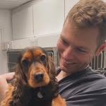 Ben The Vet