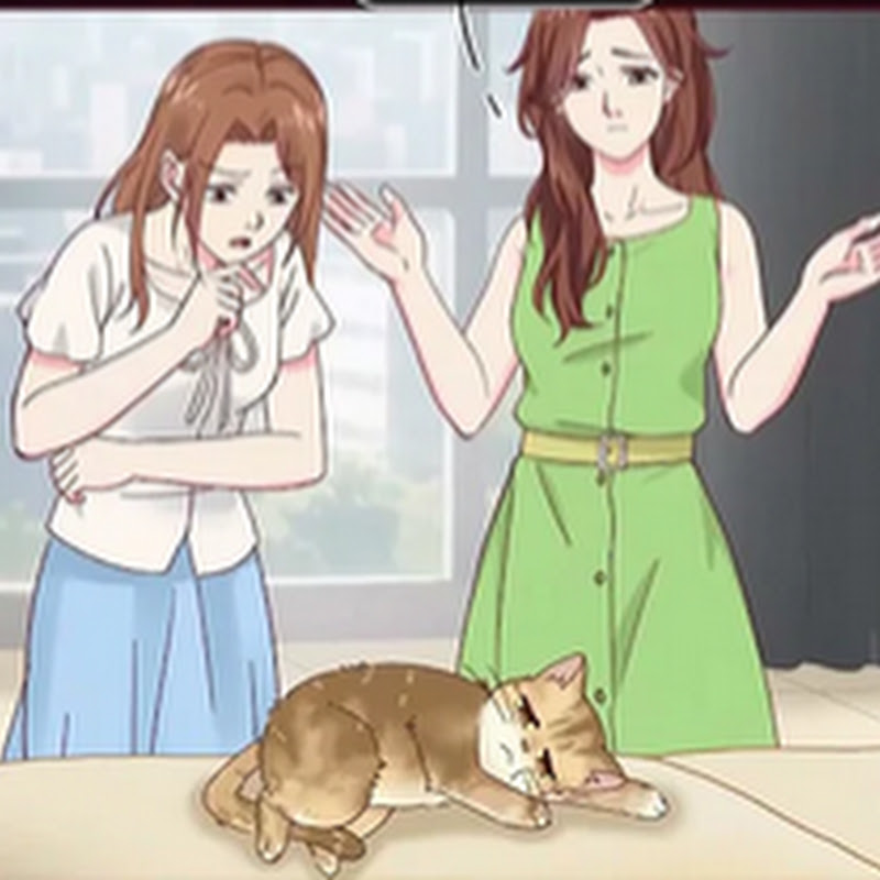 Original Comic Animation