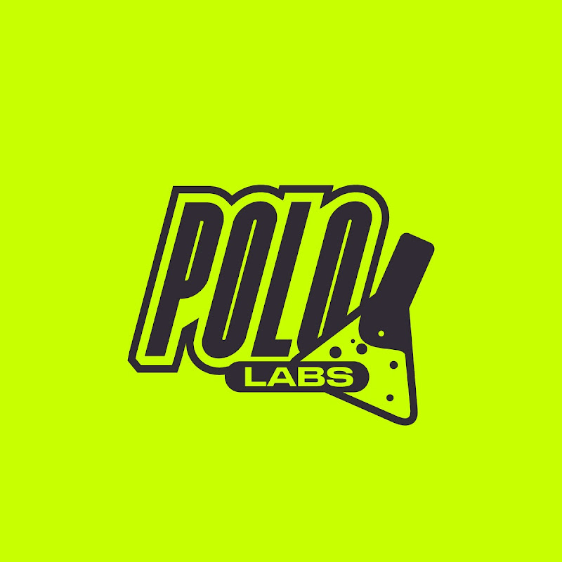 Pololabs IA