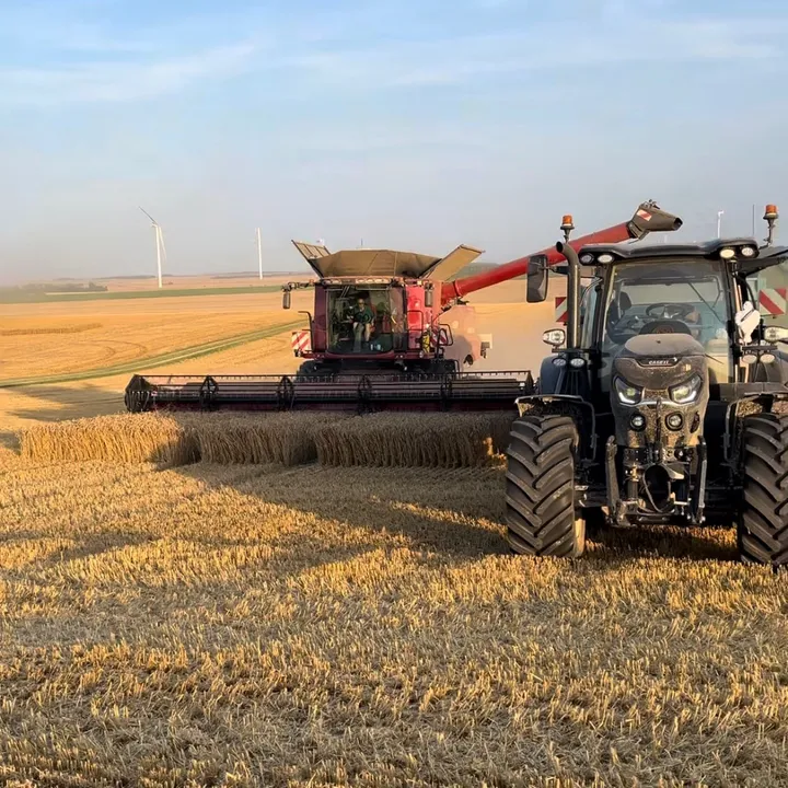 Agriculto_pov