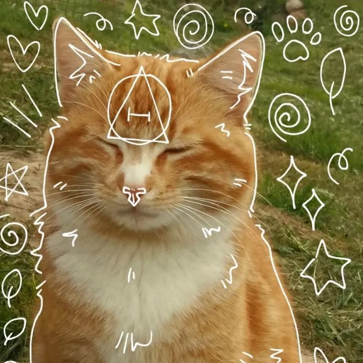 ✩₊˚.⋆☾╶⃝⃤☽⋆ Akira ✩₊˚.⋆☾╶⃝⃤☽⋆