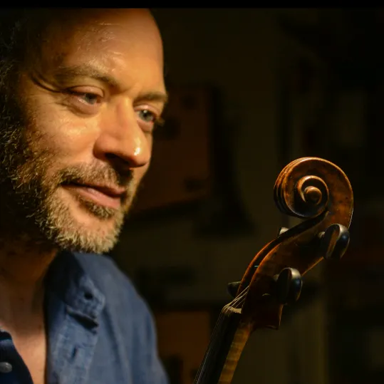 LucaTenore_violins