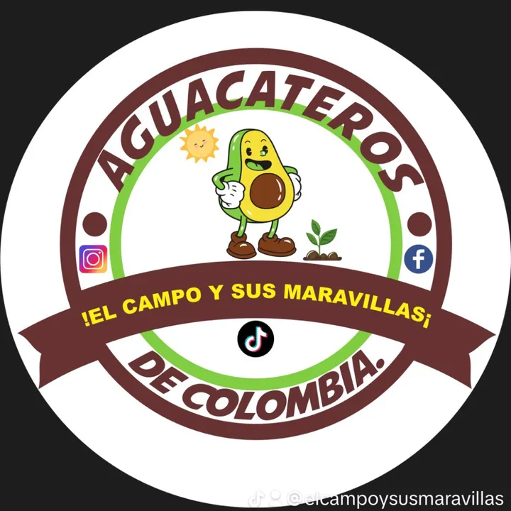 Aguacateros de Colombia 💪🏻🥑