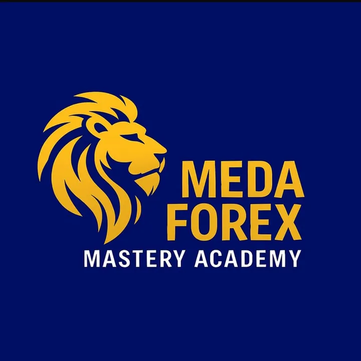 MEDA FOREX ACADEMY