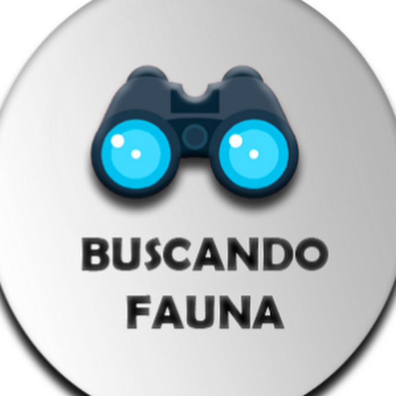 Buscando Fauna