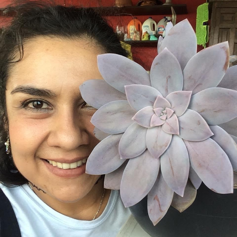 Adrie manitas terrosas