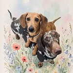 RuDi & WiLLi