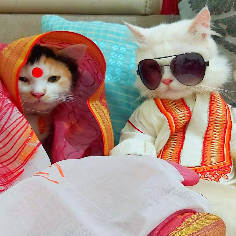 Puchi Family Original