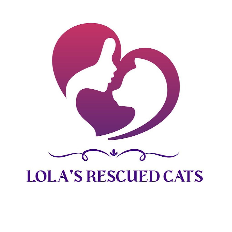 lolasrescued_cats