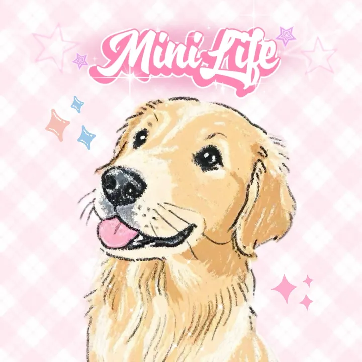 Minilife Squishy
