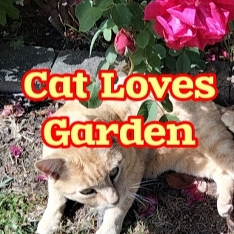 Cat Loves Garden