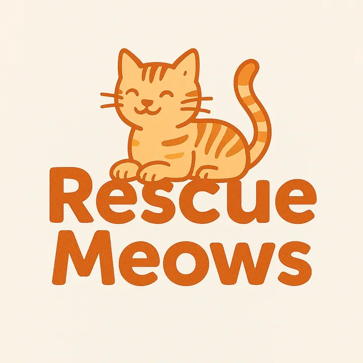 Kitty Cat Rescue ❤️🐱