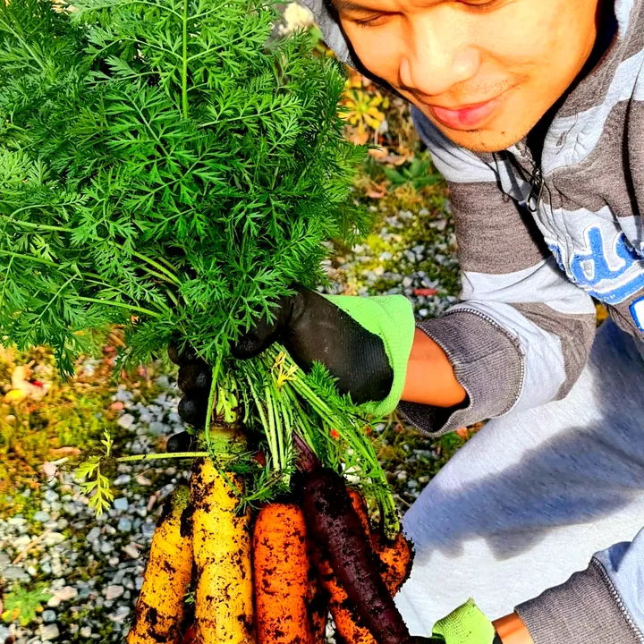Rogen's Garden
