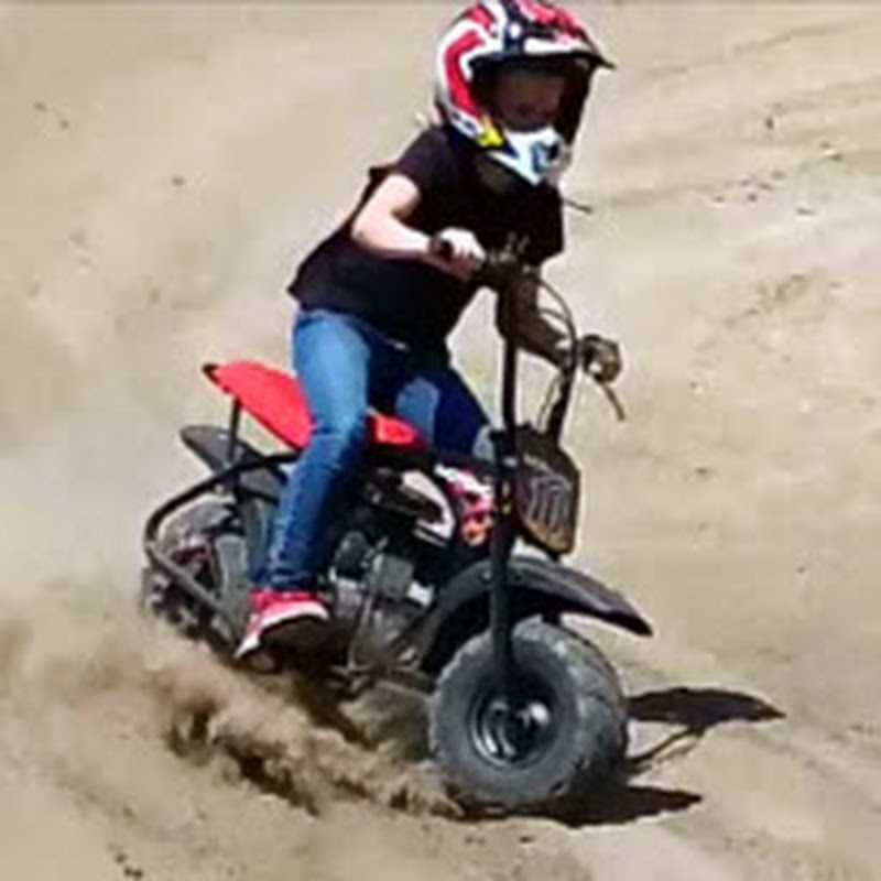 All About Mini Bikes