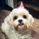 Roxy