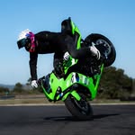 Mr NOGUES - Freestyle rider