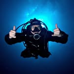 aledive